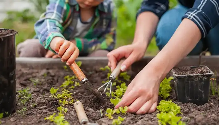 How Can You Create a Sustainable Garden at Home