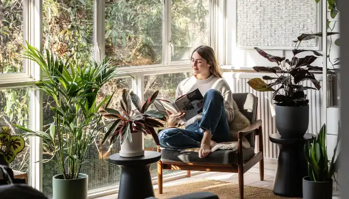 What Are the Benefits of Indoor Plants for Home Décor